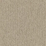 EC Ayrton Francor Nylon Carpet