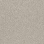 EC Birdwood Angas Nylon Carpet