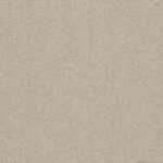 EC Birdwood Teralinga Nylon Carpet