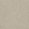 EC Birdwood Teralinga Nylon Carpet