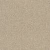 EC Birdwood Blumberg carpet