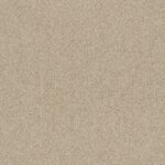 EC Birdwood Blumberg Nylon Carpet
