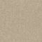 EC Birdwood Blumberg Nylon Carpet