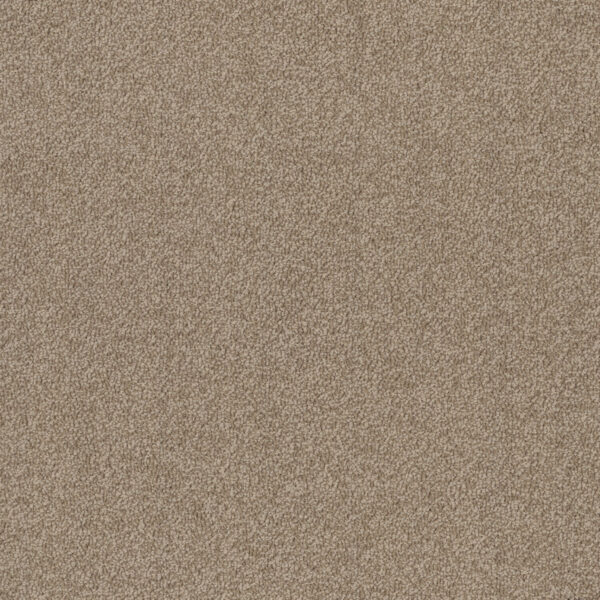 EC Birdwood Cromer Nylon Carpet