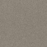 EC Birdwood Hannaford Nylon Carpet