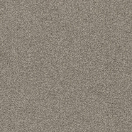 EC Birdwood Hannaford carpet