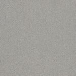 EC Birdwood Carnell Nylon Carpet