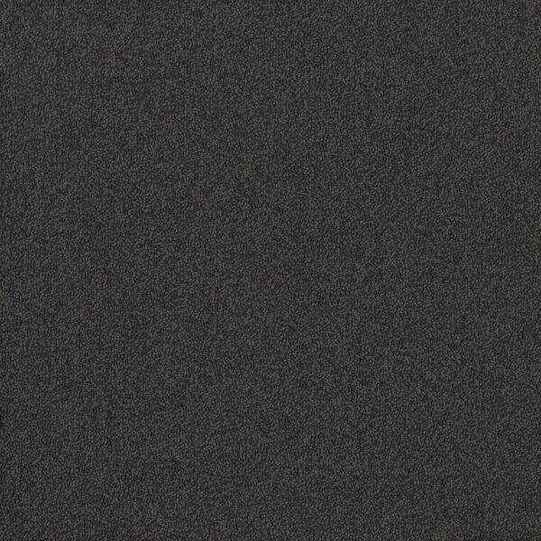 EC Birdwood Canham Nylon Carpet