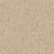 EC Bordeaux Paulin Nylon Carpet