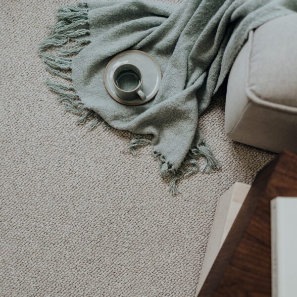EC Bordeaux Colette Nylon Carpet Scene 1