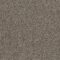 EC Bordeaux Berland Nylon Carpet