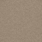 EC Bourkesgate Lawson Nylon Carpet
