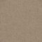 EC Bourkesgate Lawson Nylon Carpet