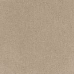EC Coco Bliss Joy Nylon Carpet