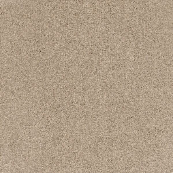 EC Coco Bliss Joy carpet
