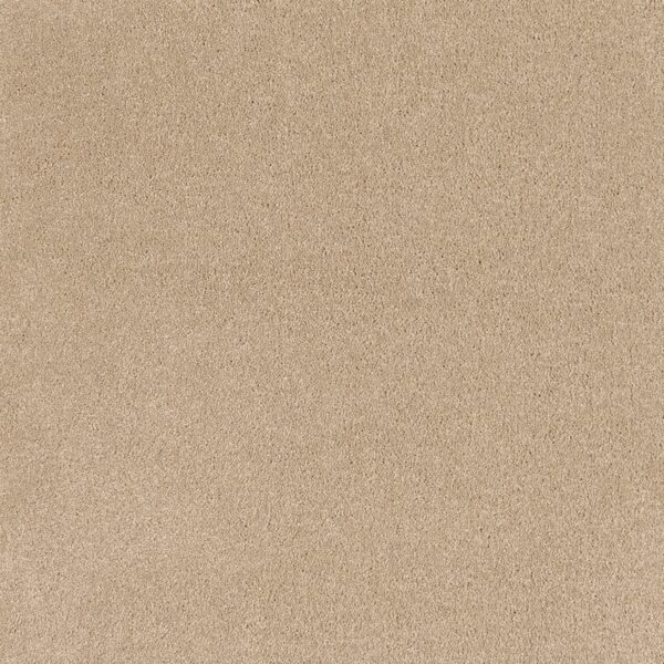 EC Coco Bliss Happiness Nylon Carpet