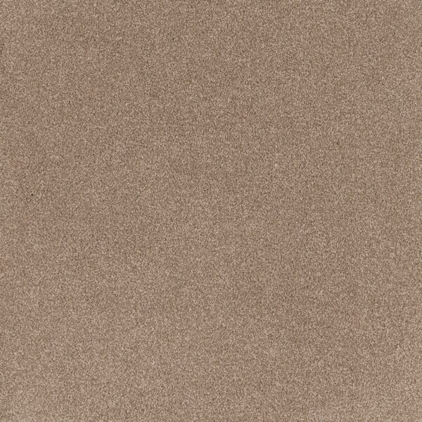 EC Coco Bliss Epiphany Nylon Carpet