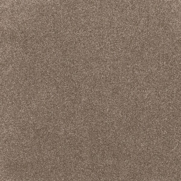 EC Coco Bliss Euphoria carpet