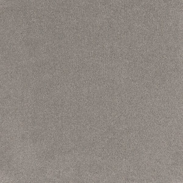 EC Coco Bliss Elation Nylon Carpet