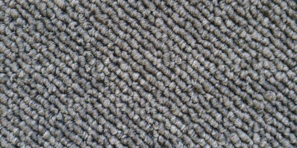 Shanty 2 / Jacks Point Solution Astro Dyed Polyester Carpet 1