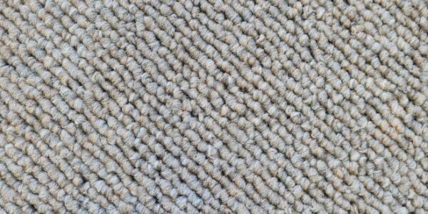 Shanty 2 / Jacks Point Solution Pebble Dyed Polyester Carpet 1