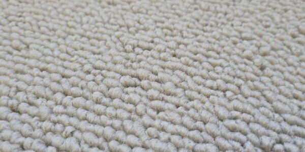 Shanty 2 / Jacks Point Solution Zephyr Dyed Polyester Carpet 2