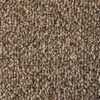 Salsa Solution Pecan Dyed Polyester Carpet