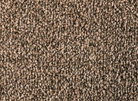 Salsa Solution Pecan Dyed Polyester Carpet
