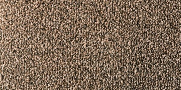 Salsa Solution Pecan Dyed Polyester Carpet