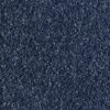 Salsa Solution Atlantic Dyed Polyester Carpet