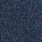 Salsa Solution Atlantic Dyed Polyester Carpet