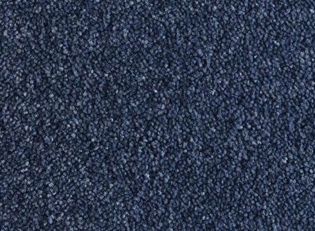 Salsa Solution Atlantic Dyed Polyester Carpet