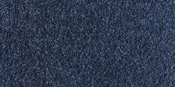 Salsa Solution Atlantic Dyed Polyester Carpet