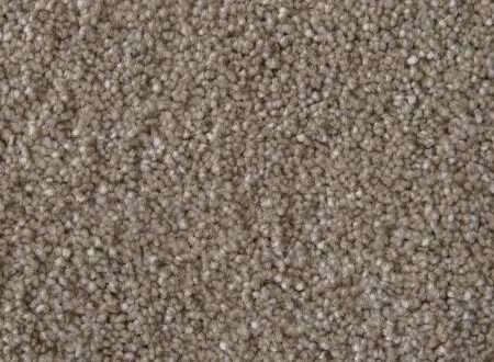 Salsa Solution Glacier Dyed Polyester Carpet