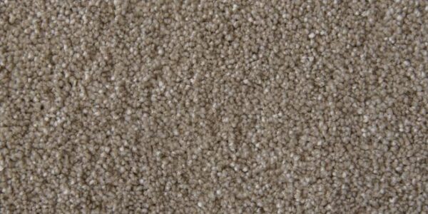 Salsa Solution Glacier Dyed Polyester Carpet