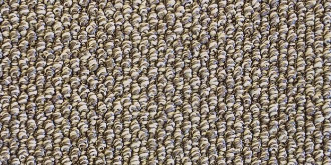 Advantage Flooring Tablelands solution-dyed polyester carpet in Barley