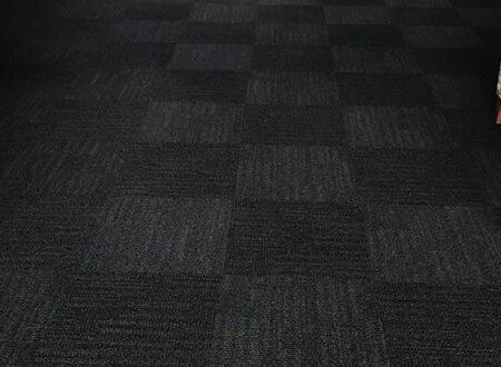 AFD Cushion Back Vancouver Solution Dyed Nylon Carpet