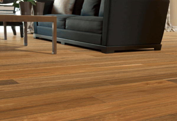 Hurford Australian Native Spotted Gum Engineered Timber Flooring Scene