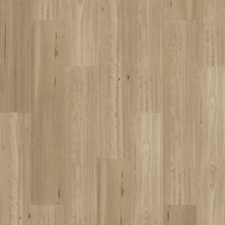 Armstrong Aspirations Somerset Blackbutt Vinyl Plank Flooring