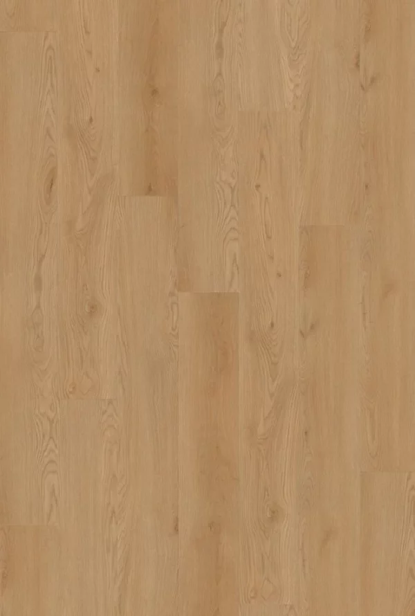 Armstrong Aspirations Euro Oak Vinyl Plank Flooring