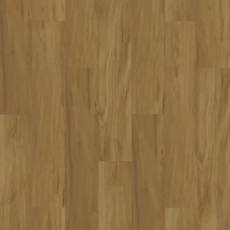 Armstrong Aspirations Tasmanian Hardwood Classic Vinyl Plank Flooring