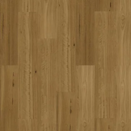 Armstrong Aspirations Blackbutt Traditional Vinyl Plank Flooring