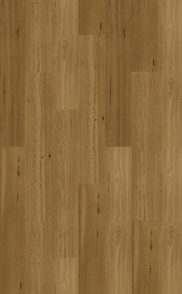 Armstrong Aspirations Blackbutt Traditional Vinyl Plank Flooring