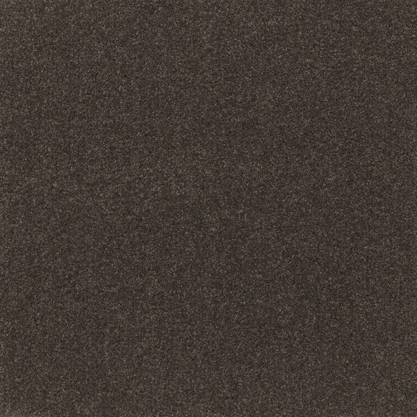 EC Comfort Touch Snug carpet