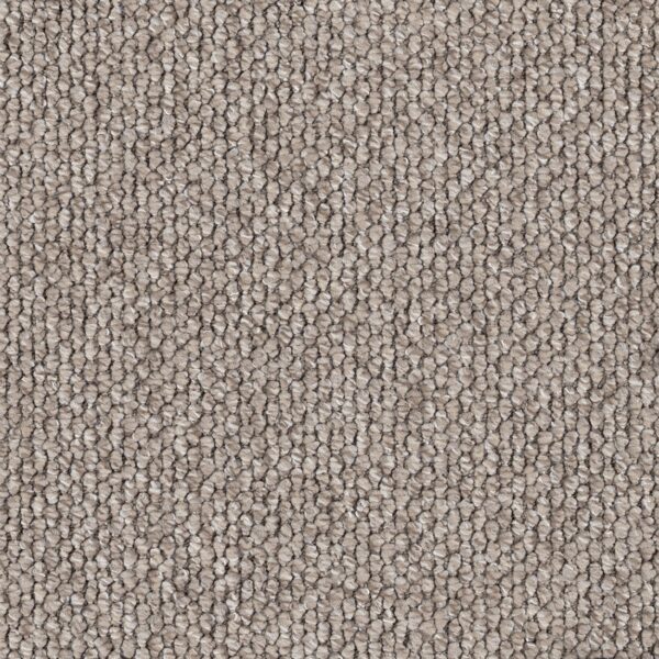 EC Flinders Gorge Warren carpet