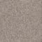 EC Flinders Gorge Warren Nylon Carpet
