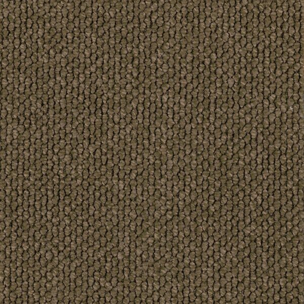 EC Flinders Gorge Tanderra carpet
