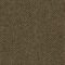 EC Flinders Gorge Tanderra Nylon Carpet