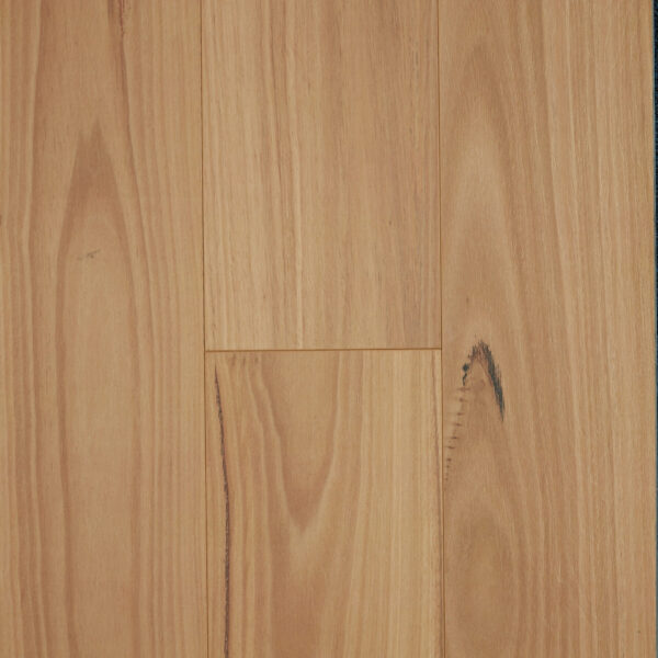 Oakleaf HD Plus Blackbutt Laminate Flooring