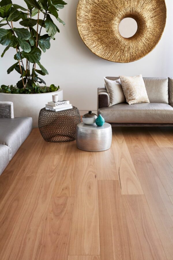 Oakleaf HD Plus Blackbutt Laminate Flooring Scene